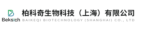 雷竞技raybeta